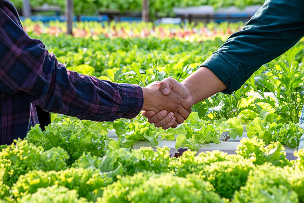 Contract Farming Projects